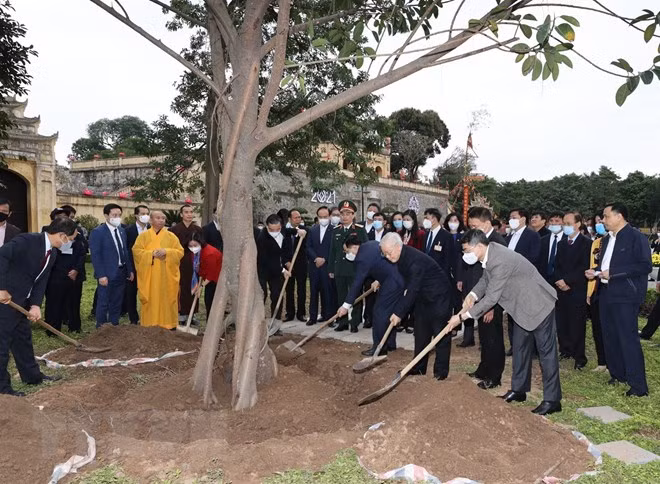 Tổng Bí thư, Chủ tịch nước Nguyễn Phú Trọng trồng cây lưu niệm tại Khu Di tích Hoàng thành Thăng Long. (Ảnh : Trí Dũng/TTXVN).