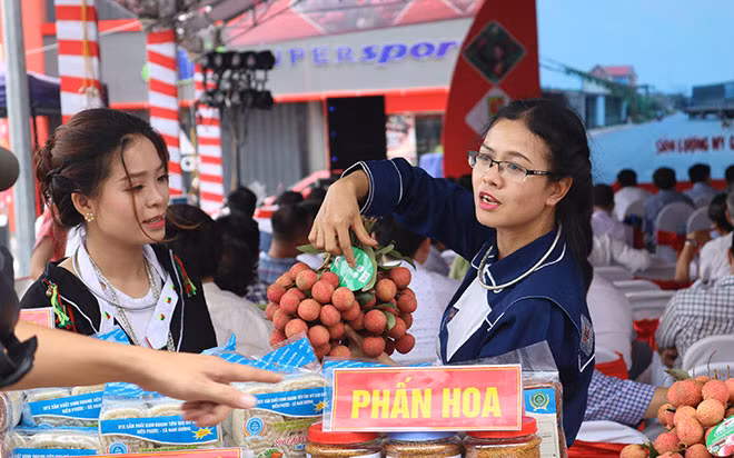 CPTPP và EVFTA không phải chỉ mang lại cơ hội mà còn kèm theo những rủi ro và thách thức.