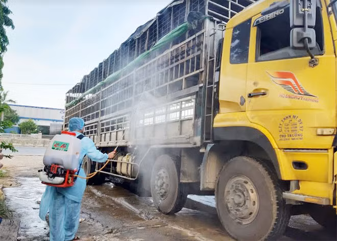 Lực lượng chức năng phun thuốc tiêu độc, khử trùng. Lực lượng chức năng phun thuốc tiêu độc, khử trùng.