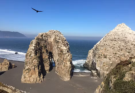 Ở vùng biển Constitution, miền Maule, Chile, nơi nổi tiếng với giới leo núi và chơi lướt ván vì thiên nhiên cực kỳ hoang sơ.