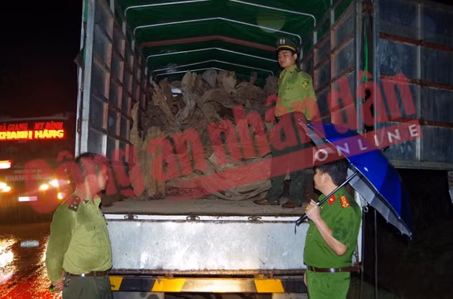 Lực lượng chức năng kiểm tra và bàn giao tang vật vi phạm.