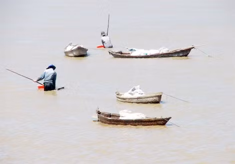 Hai bên cửa sông Đà Diễn, những nhóm người rủ nhau đi ven biển vớt cá thài bai.