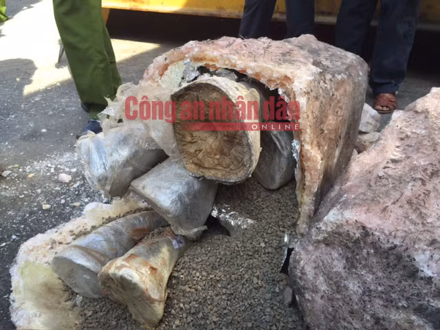 Ngà voi và sừng tê giác được ngụy trang cất giấu bên trong những khối đá giả.