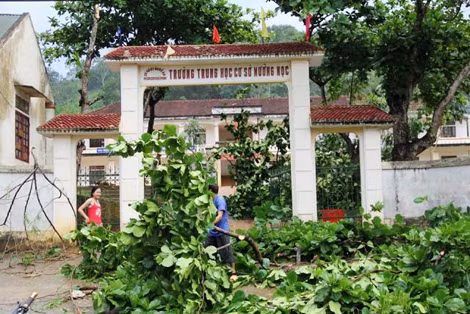 Người dân dọn dẹp cây xanh gẫy đổ sau khi lốc xoáy tràn qua.