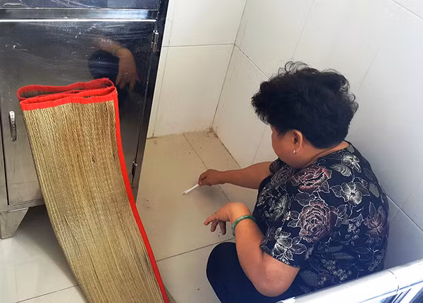 Kiến ba khoang xuất hiện nhiều tại các phòng bệnh trong BVĐK TP Vĩnh Long.