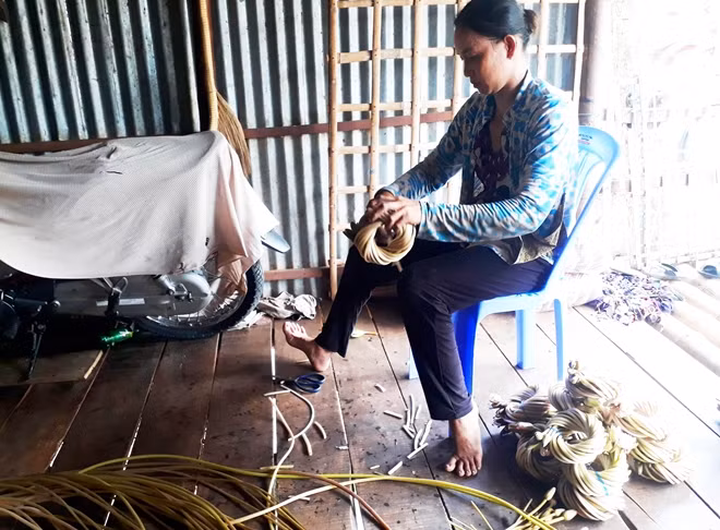 Các sản vật mùa nước nổi khác như bông súng, điền điển... được xem là nguồn thu nhập chính của người dân vùng nước nổi.