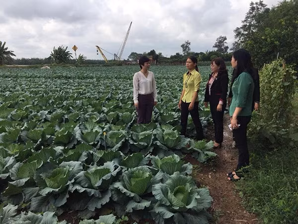 Các cấp hội phụ nữ Thái Bình tích cực xây dựng nông thôn mới.