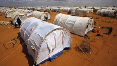 Dadaab (Kenya) - trại tị nạn lớn nhất thế giới.
