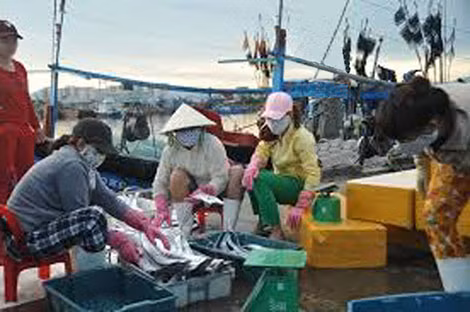Hiện tại, cá hố ở Thọ Quang là một trong những mặt hàng thương lái Trung Quốc thu mua nhiều nhất.