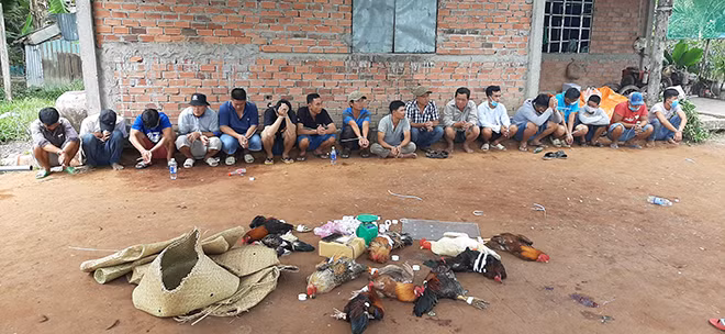 Các đối tượng cùng tang vật bị bắt giữ.