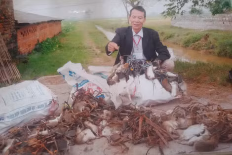 Thành quả mà ông Thiều đạt được trong một lần diệt chuột. Thành quả mà ông Thiều đạt được trong một lần diệt chuột.