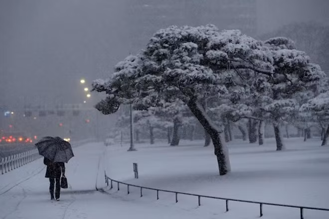 Cả thành phố bỗng bị nhuộm trắng bởi tuyết. Ảnh: Reuters