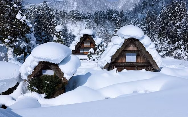 Làng cổ Shirakawa-go tọa lạc tại tỉnh Gifu với dòng Shogawa vắt ngang cùng 114 mái nhà nằm liền kề nhau ở chân núi Haku-san. Đây là một trong những ngôi làng cổ nhất còn lưu giữ gần như nguyên vẹn kiến trúc cổ của Nhật Bản.