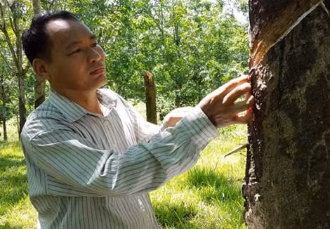 Cựu chiến binh Trần Trọng Dương.