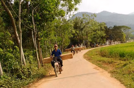 Một nhóm lâm tặc ngang nhiên vận chuyển gỗ lậu giữa ban ngày. (Ảnh chụp lúc 16h ngày 12/3 trên đoạn đường đối diện với Nhà văn hóa thôn Nghĩa Điền, xã Ân Nghĩa, huyện Hoài Ân). Một nhóm lâm tặc ngang nhiên vận chuyển gỗ lậu giữa ban ngày. (Ảnh chụp lúc 16h ngày 12/3 trên đoạn đường đối diện với Nhà văn hóa thôn Nghĩa Điền, xã Ân Nghĩa, huyện Hoài Ân).