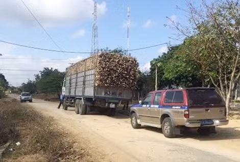Người dân gửi hình ảnh lực lượng thanh tra giao thông xử lý xe quá tải ở cơ sở về cho lãnh đạo Sở Giao thông-Vận tải Gia Lai theo dõi, không để xảy ra tiêu cực.