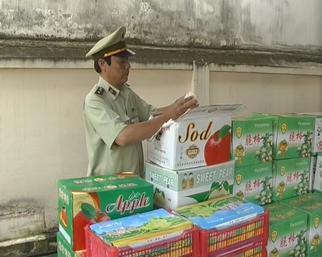 Tang vật của vụ việc