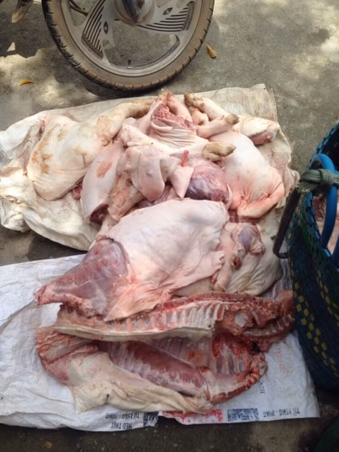 Tang vật của vụ việc