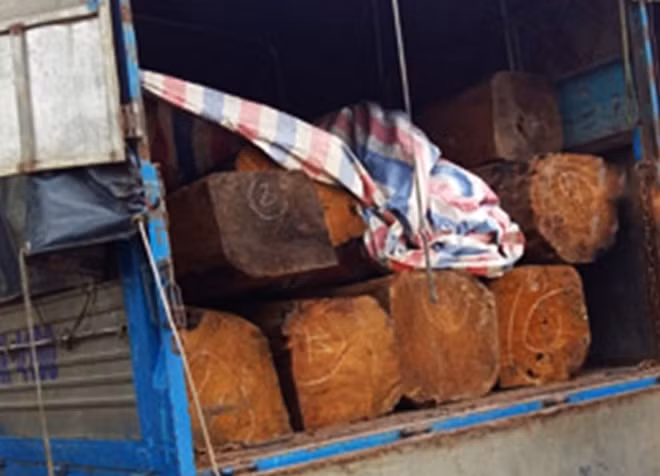 Tang vật bị bắt giữ.