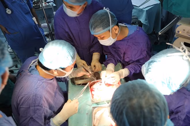 Ca ghép đa tạng ngày 27-7 từ người cho chết não tại Bệnh viện Quân Y 103.
