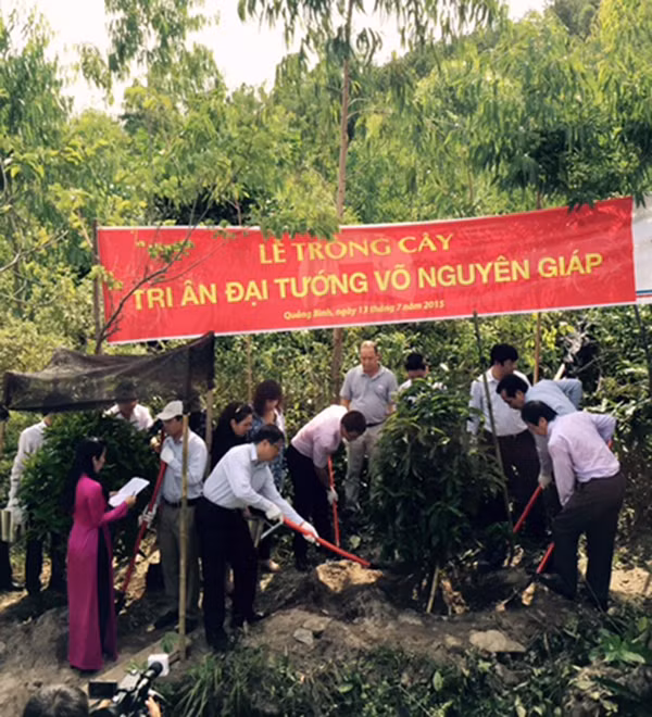 Trồng cây hải đường tại khu mộ Đại tướng Võ Nguyên Giáp.
