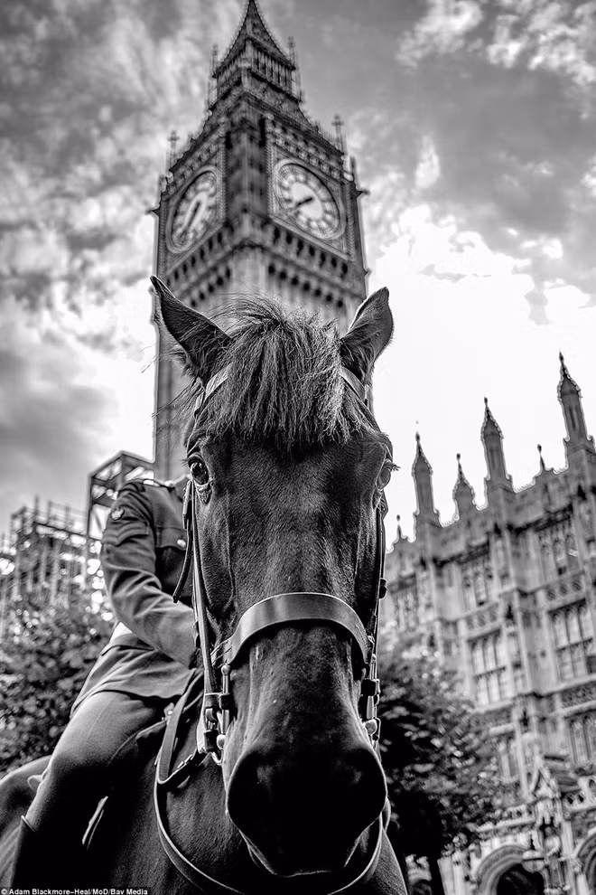 Một binh sĩ đang cưỡi ngựa tới thăm cung điện Westminster, London