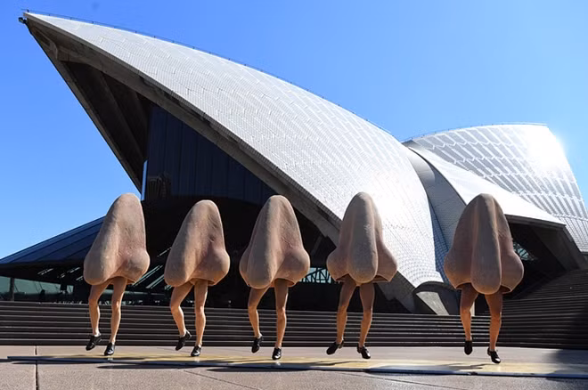 "Những chiếc mũi" trước nhà hát lớn Opera (Australia) để quảng cáo cho vở kịch cùng tên được trình chiếu tại đây ngày 22-8. Ảnh: EPA/David Moir.
