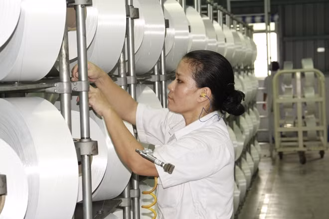 Kiểm tra chất lượng nguyên liệu sợi tại NMXS Đình Vũ.