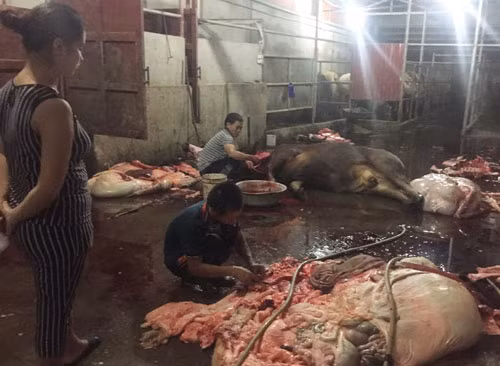 Cơ quan chức năng cần kiểm tra kỹ các cơ sở giết mổ.