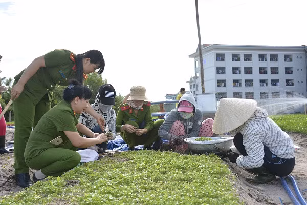 Thượng tá Nguyễn Thị Bốn cùng đoàn viên công đoàn kiểm tra chất lượng rau mầm, để cung cấp thực phẩm an toàn cho bếp ăn kiểu mẫu.