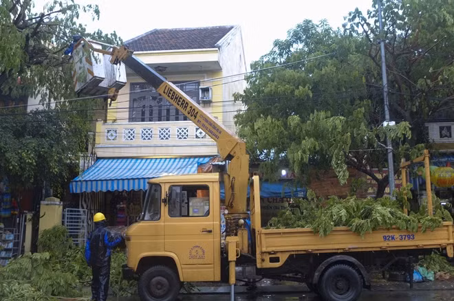 Nhân viên công ty Môi trường Đô thị TP. Hội An hạ cây xanh, khai thông cống thoát nước để ứng phó với bão.