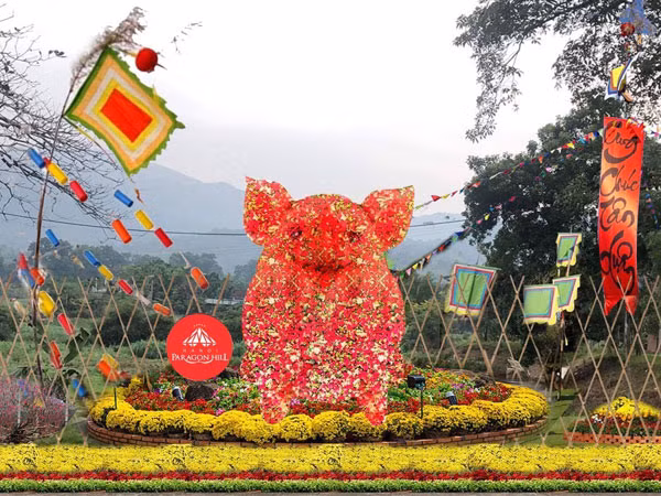 Chú heo khổng lồ được Tết hoa hồng tại khu du lịch sinh thái Paragon Hill (Ba Vì, Hà Nội).