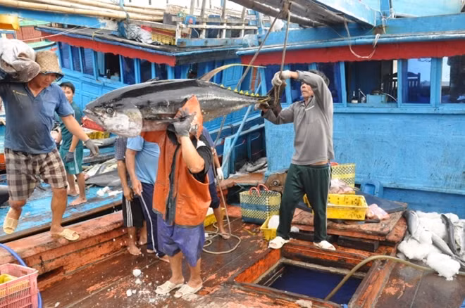 Chỉ còn hơn một tháng cho các hành động tháo gỡ “thẻ vàng”.
