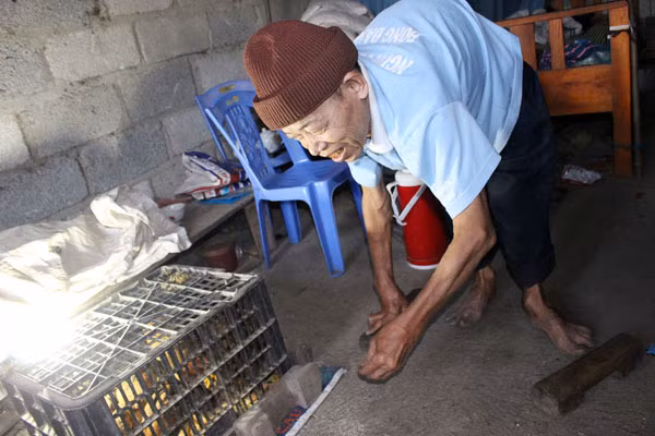 Ông nuôi gà và rất thích cho chúng ăn.