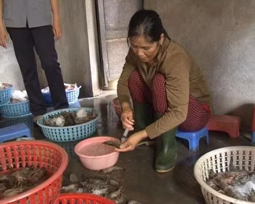 Một công nhân đang bơm tạp chất vào tôm.