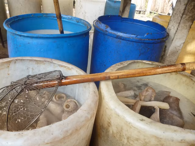 Bì heo ngâm hóa chất của cơ sở Tỷ-Cúc bị phát hiện, xử lý.
