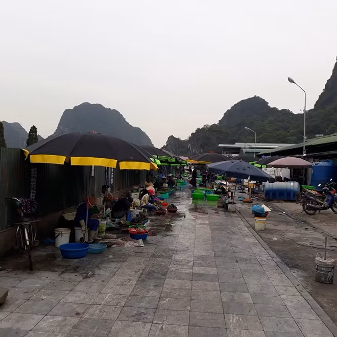 Nhiều hộ kinh doanh phản ánh phải chịu khoản thu vượt nhiều so với quy định