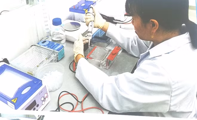 Công trình đoạt giải thuộc lĩnh vực khoa học cơ bản.