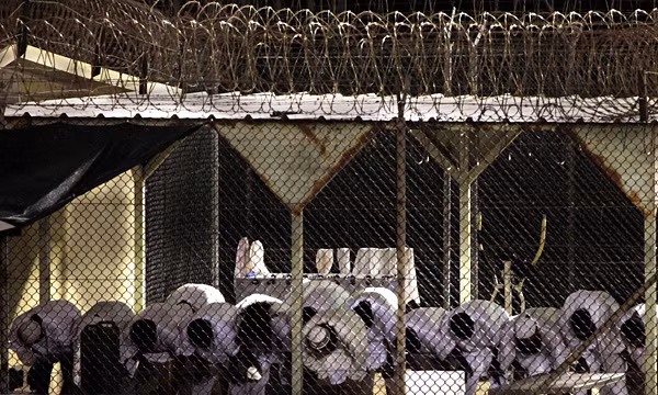 Phạm nhân nhà tù Guantanamo.