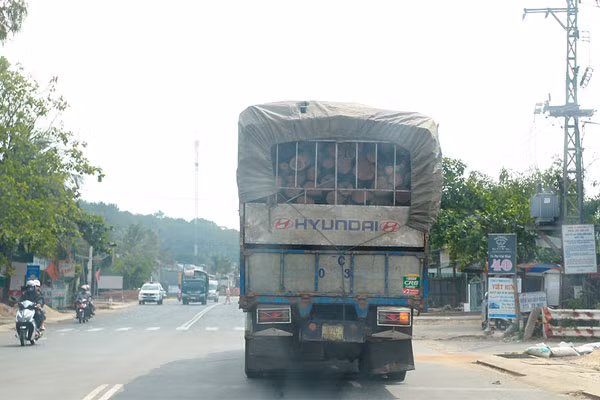 Một xe chở gỗ có dấu hiệu vi phạm quá tải vô tư lưu thông trên QL14C.