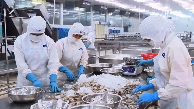 Doanh nghiệp thuỷ sản bị mất 30% đơn hàng xuất khẩu vì dịch COVID-19.