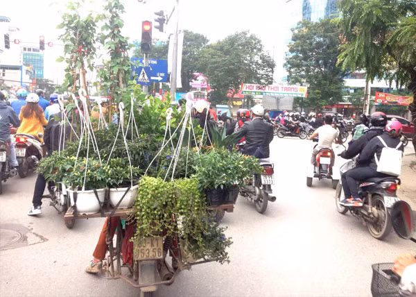 Nhiều xe chở cồng kềnh, ảnh hưởng giao thông đô thị và mĩ quan đường phố.