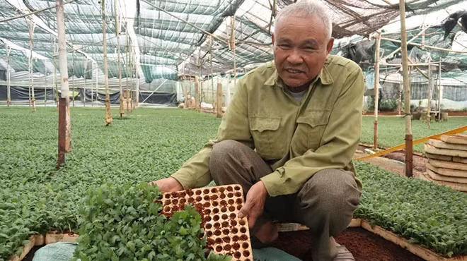 Ông Trần Ngọc Hòa tại vườn ươm.