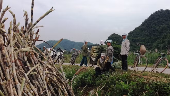 Phút nghỉ ngơi hiếm hoi.