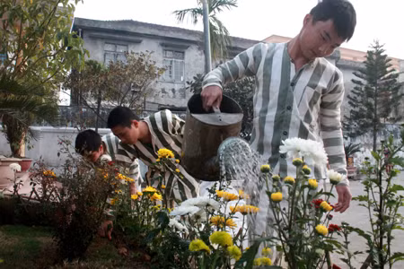 Phạm nhân ở Trại tạm giam Công an tỉnh Nghệ An chăm sóc hoa đón Tết.