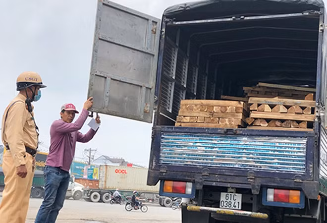 Cảnh sát giao thông Công an TP Thuận An kịp thời, phát hiện và xử lý tài xế lái xe tải chở gỗ vượt quá tải trọng.