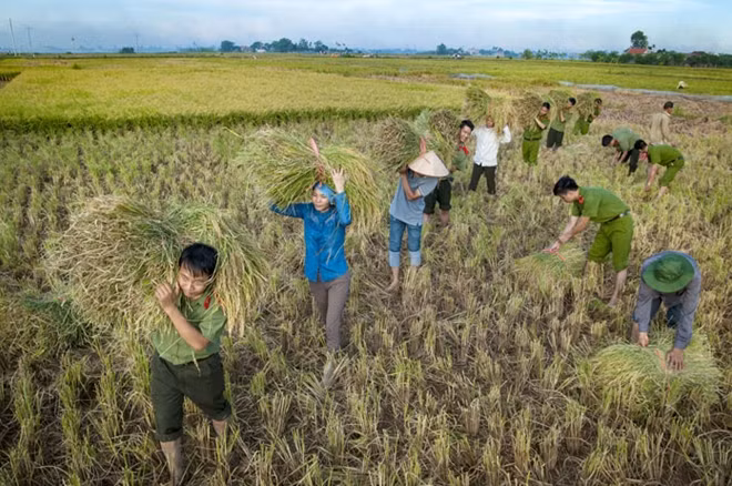 Tác phẩm: Giúp dân làm mùa. Tác giả Vũ Đức Phương (Ninh Bình).