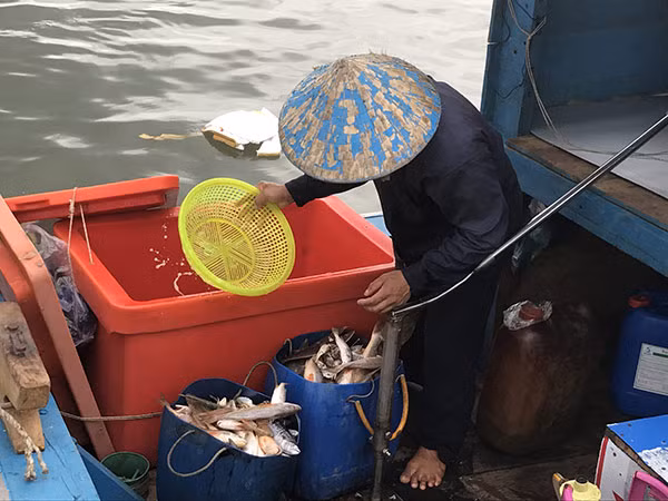 Các tàu nhỏ thô sơ chỉ đánh bắt được những loại hải sản nhỏ.