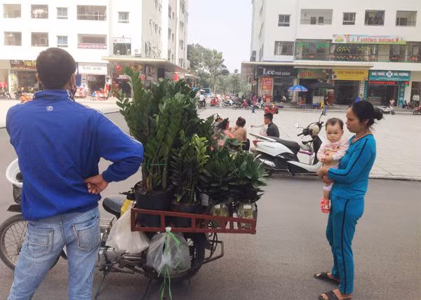 Tranh thủ vào khu đô thị mới bán hàng.