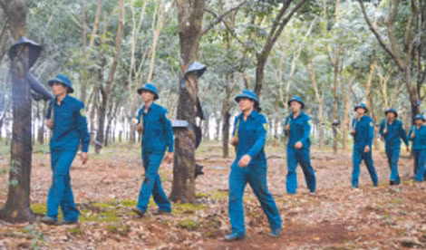 Lực lượng tự vệ tuần tra bảo vệ.